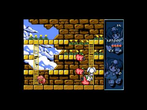 [Amiga] Rod Land – Walkthrough